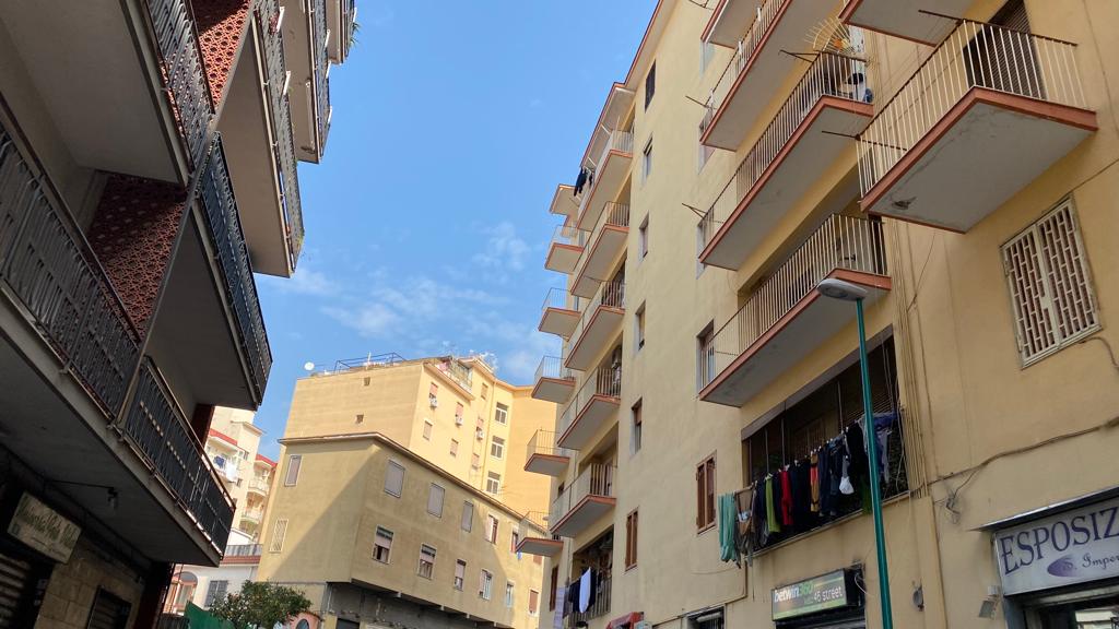 viale-del-gatto 