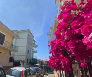Zona S.Antonio, via Molise