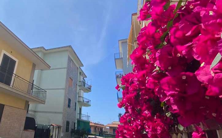 Zona S.Antonio, via Molise