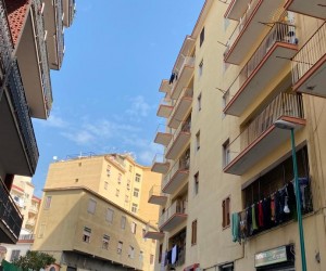 Viale Del Gatto 