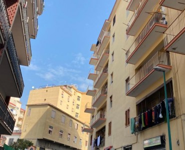 Viale Del Gatto 