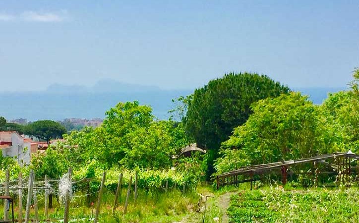 Zona Cappella Bianchini